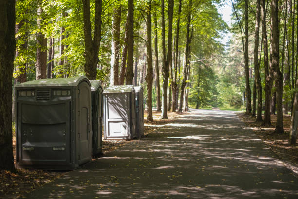 Best Portable toilet rental for construction  in St Johns, AZ